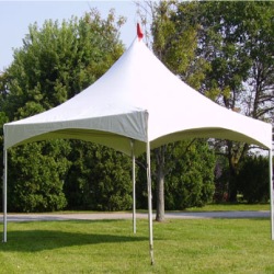 Pagoda Tents - Image 4